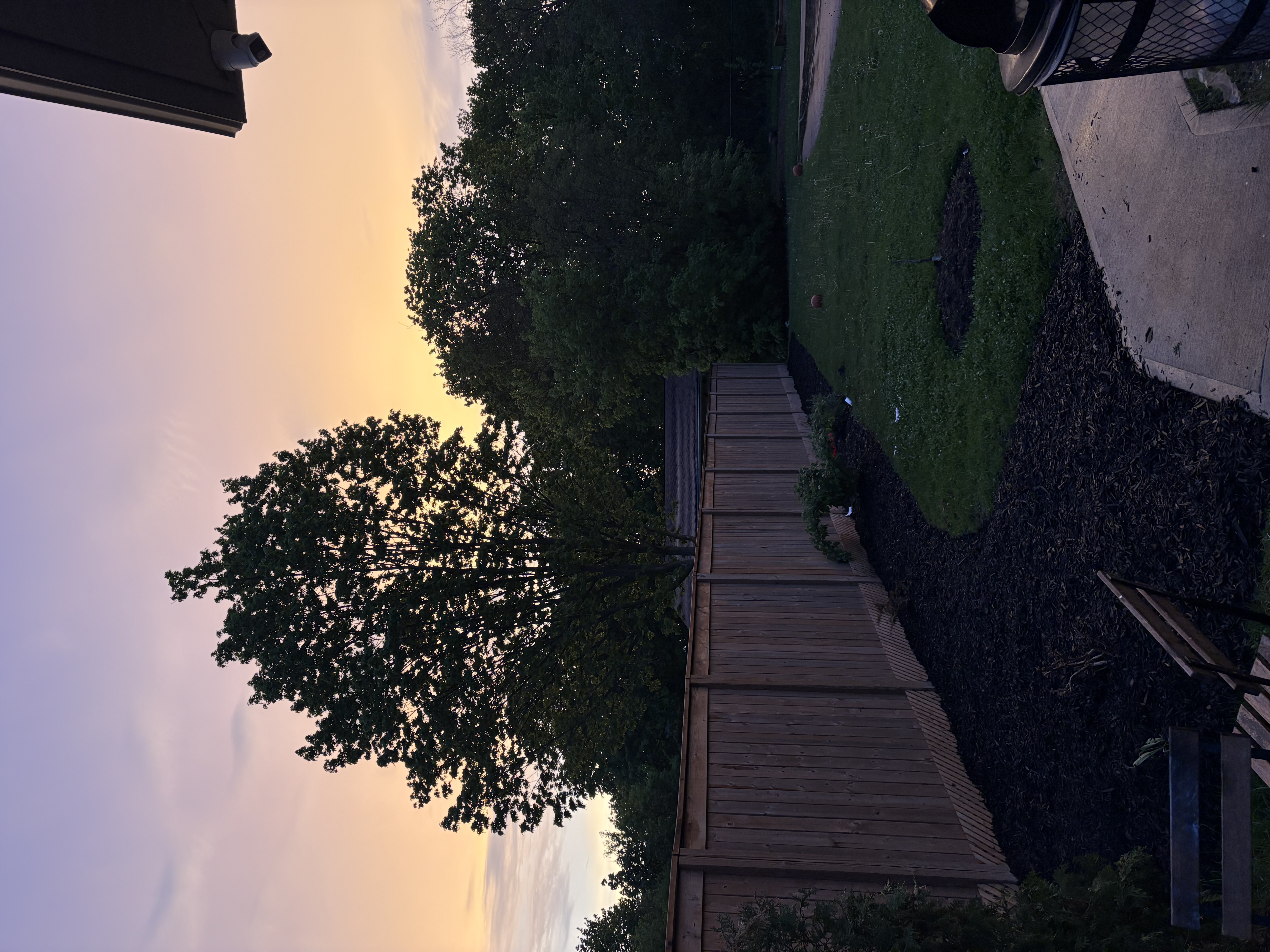 New wooden privacy fence with mulched garden bed at golden hour